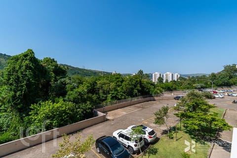 Image 23 - 264781